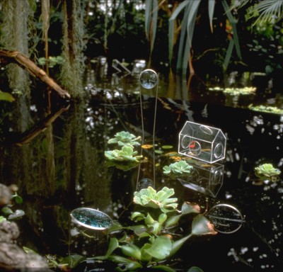 installation at the botanical garden