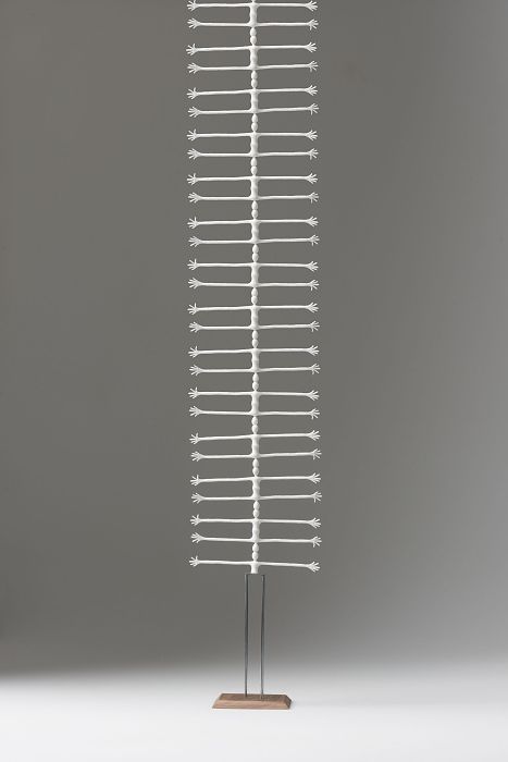 Picture of a spine of sculptures